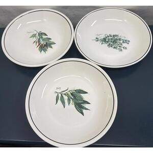 3 Williams Sonoma 9” Pasta Bowls VTG Bay Cayenne Thyme Culinary Herb Spices Set
